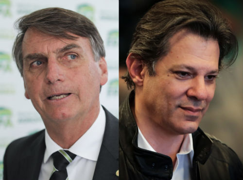 Divulgação