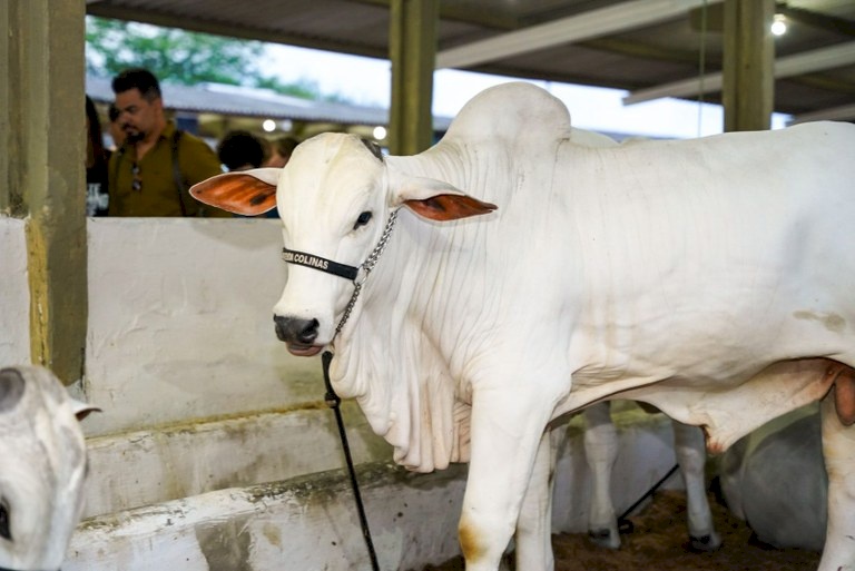 Vice-governador abre 53ª Exposição de Animais e Produtos Industriais em Campina Grande