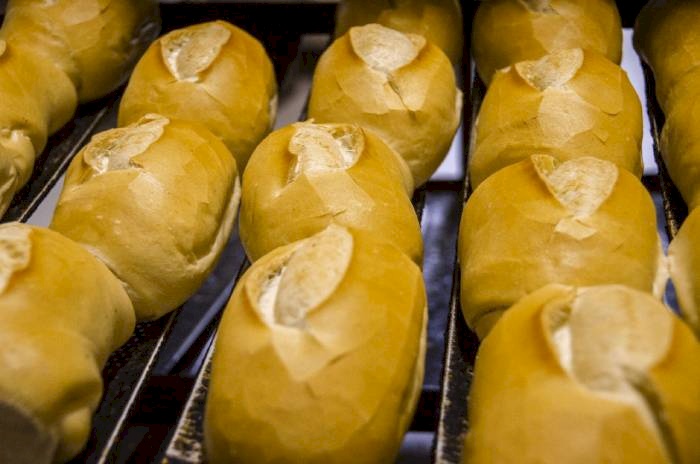 Entrega dos cartões aos contemplados pelo programa Pão e Leite
