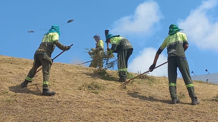  As localidades atendidas pela coleta de resíduos de poda de árvores 