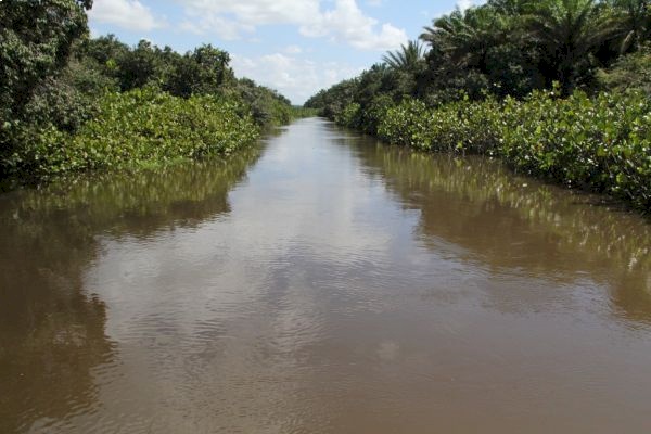 Determinação para que Estado garanta qualidade da água 