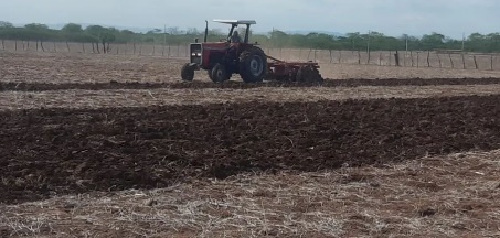 Operação Corte de Terra na zona rural de Marizópolis 