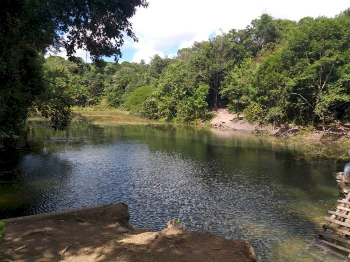 Coleta de amostra de água para análise e ações de recuperação dos rios e nascentes