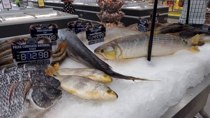 Peixes têm quantidade limitada para captura em 2024
