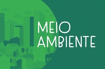 Meio Ambiente 