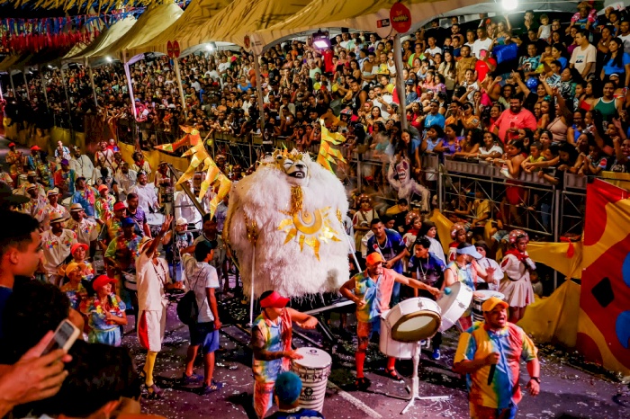Apresentações das ala ursas arrancam aplausos do público