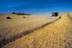 Plano Safra da Agricultura Familiar 2023/2024