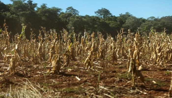 13 cidades afetadas por desastres