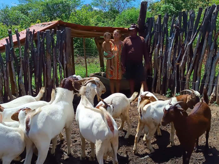 Programa Incluir Paraíba beneficia mais de mil famílias agricultoras