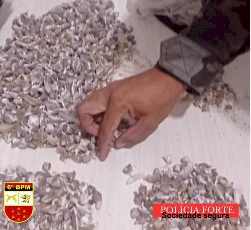 Material ilícito apreendido pela Polícia Militar