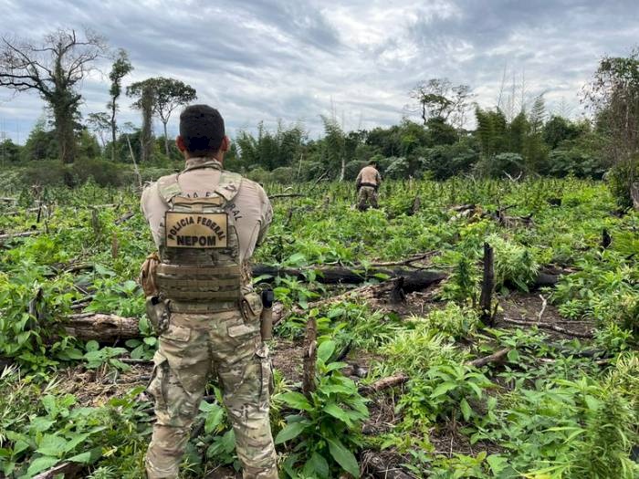 38ª fase da Operação Nova Aliança