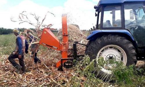João Neto diz que tem sido uma grande alegria acompanhar e constatar o desempenho proativo da Secretaria de Agricultura e Meio Ambiente de Aparecida