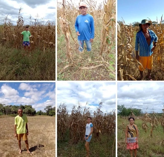 Agricultores do município de Marizópolis 
