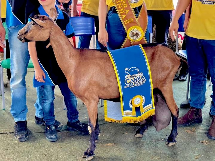 Festa da Cabra 