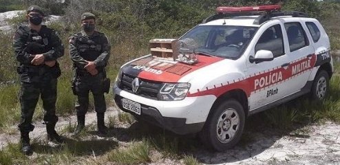 Mais de dez aves silvestres são apreendias pela polícia em feira livre 