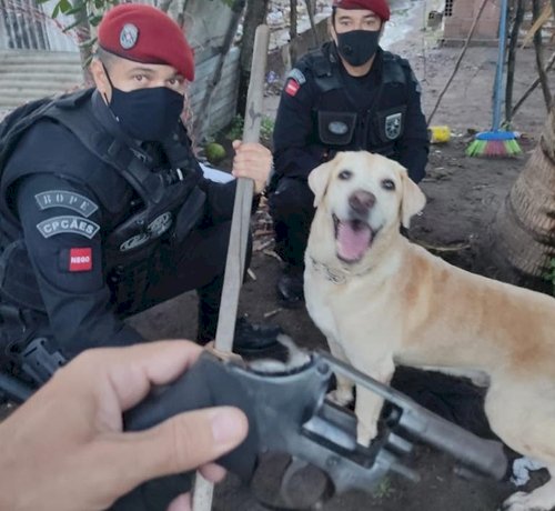 Cão farejador da Polícia Militar encontra arma usada por traficantes da zona sul de João Pessoa
