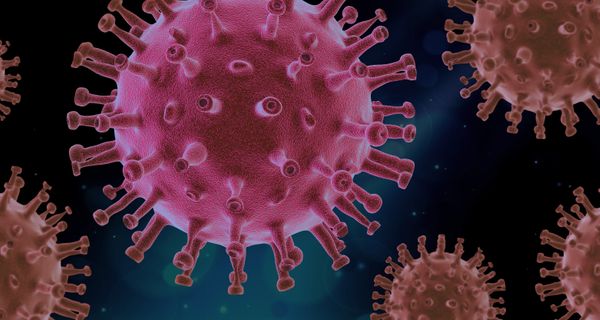 Coronavirus 