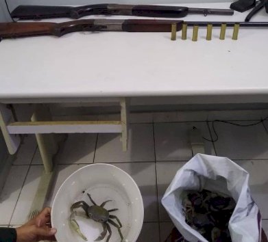 Polícia desarticula criadouros ilegais de guaiamum e apreende armas de fogo