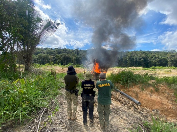 Operação Murici contra crimes ambientais