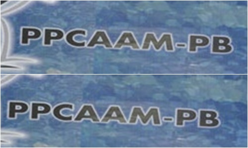 PPCAAM-PB 