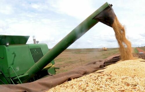 Oliveira explica ainda que a diminuição da safra de arroz 2022/23 ocorre muito em função das áreas de plantio do Sul do país
