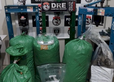 Maconha apreendida pela Polícia Civil em Queimadas 