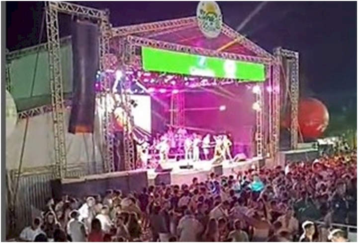 Cenas do Carnaval, Verde e Branco 2024