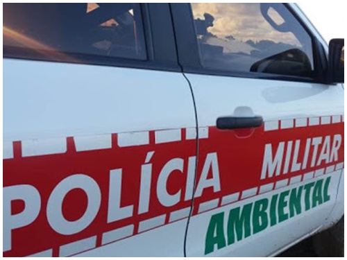 Polícia Ambiental 