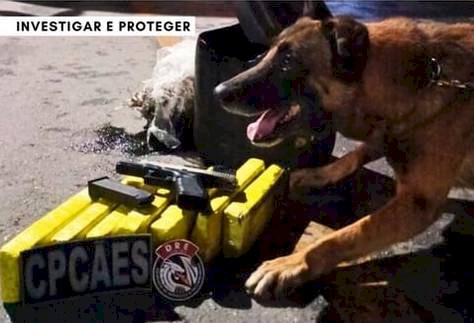 Prisão de homem com  arma de fogo, drogas e munições