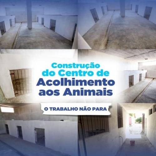 Centro de Acolhimento de cães vadios (de rua) em Coremas
