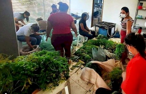 Mais uma etapa de entrega de kits alimentares do PAA é realizada pela prefeitura de Aparecida, através da Secretaria de Assistência Social 