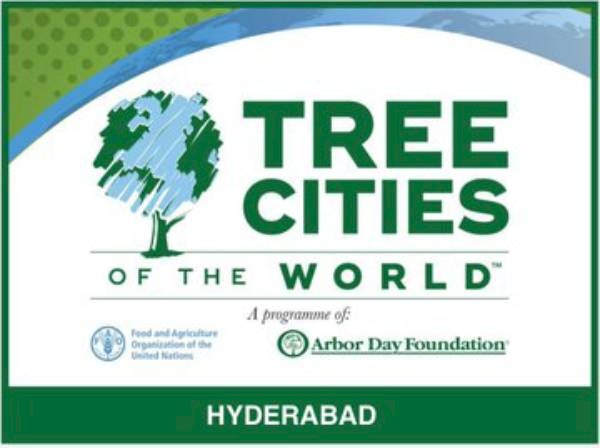 Certificado de 'Cidades Árvores do Mundo' (Tree Cities of the World) 2022