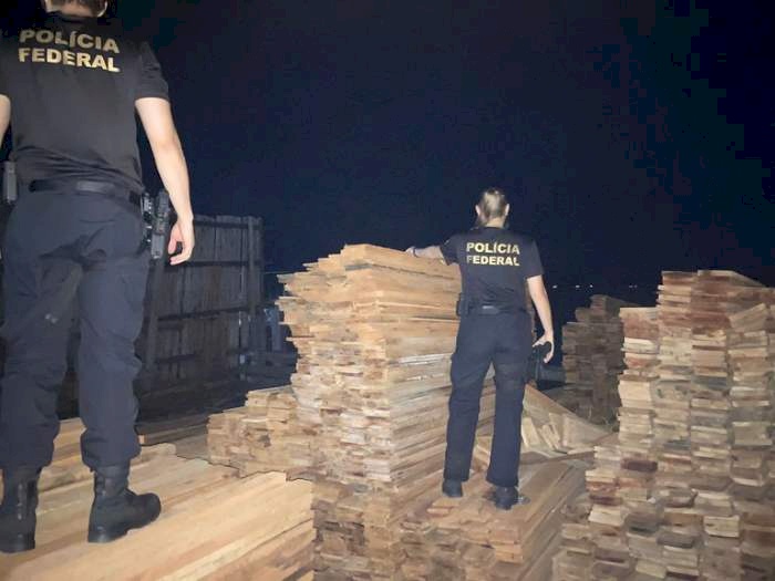 Prisão de madeireiro suspeito de subtrair madeira apreendida