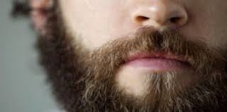 Barba