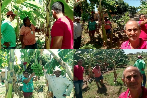 Agricultores familiares de Marizópolis recebem visita de técincos 