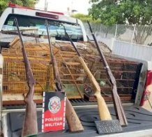 Polícia militar apreende armas de fogo e aves silvestres durante Operação Eternidade 