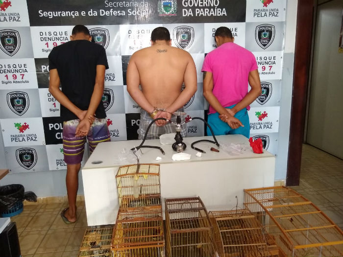Prisões e Apreensões