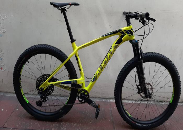 Bicicleta