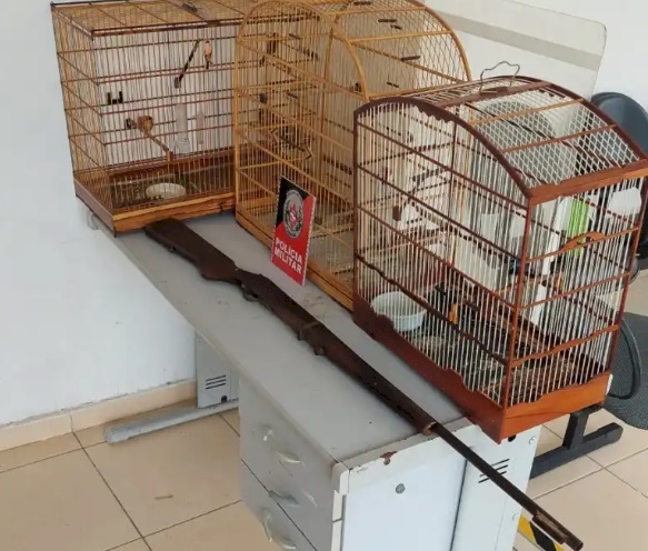 Aves e arma de fogo apreendidas em ação policial na cidade de São José do Sabugi 