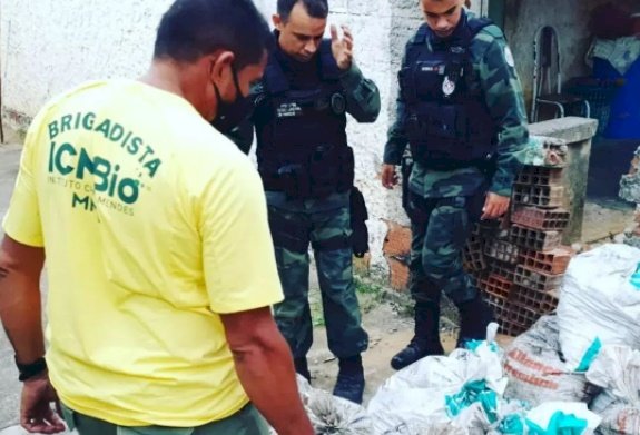 Polícia em ação conjunta com o ICMbio, apreende cerca de 1,4 tonelada de Caranguejos-uçá