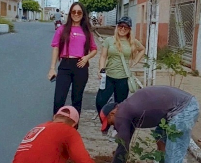 Prefeitura inicia Programa de Replantio das Árvores que foram retiradas nas ruas e avenidas onde foram asfaltadas, em Marizópolis