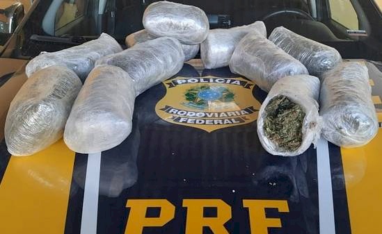 Drogas apreendidas pela PRF na Paraíba