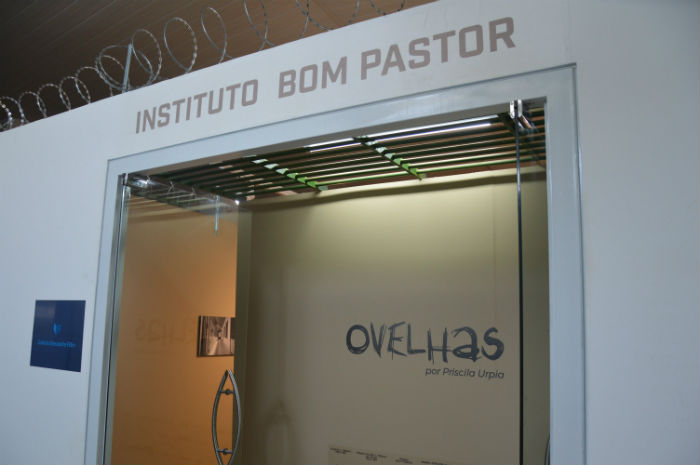 Ovelhas