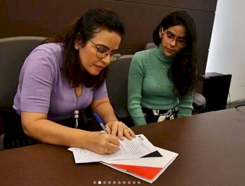 Membros do Comitê Gestor Estadual de Políticas de Inclusão da Pessoa com Deficiência