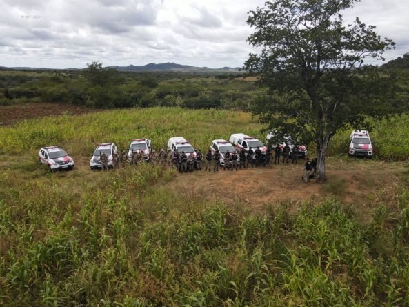 Erradicação de plantação com 19 mil pés de maconha, no cariri paraibano