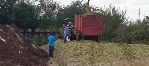  O Prefeito Lucas Braga ressaltou que o Município de Marizópolis é um dos importantes produtores de ensilagem da agricultura Familiar 