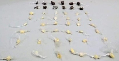 NA PB – Polícia realiza apreensão de maconha e crack, porém suspeitos conseguem fugir 