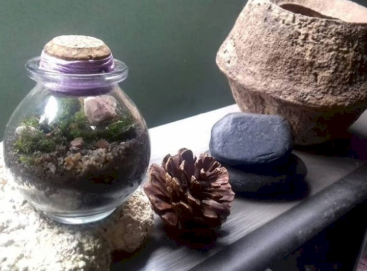 Agosto das Juventudes: Sudema realiza oficina de minijardim no Jardim Botânico
