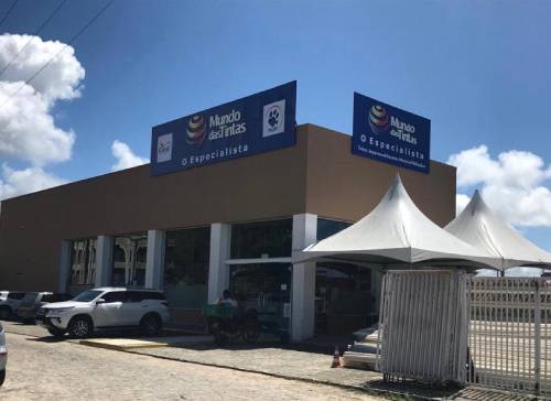 Divulgação