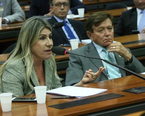Divulgação